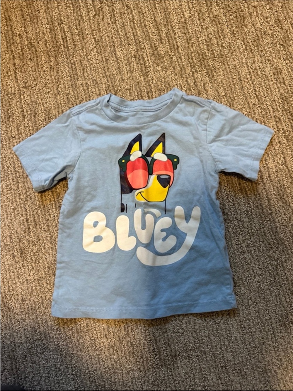 Bluey t-shirt size 3T